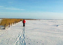 Langlauf