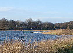 Reesholm
