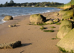 Strand